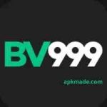 BV999 Game