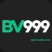 BV999 Game
