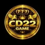 CD 22 Game